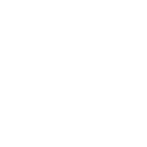 Logo blanc Sylvie Orban
