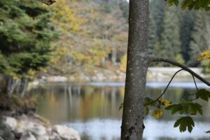 Photo paysage